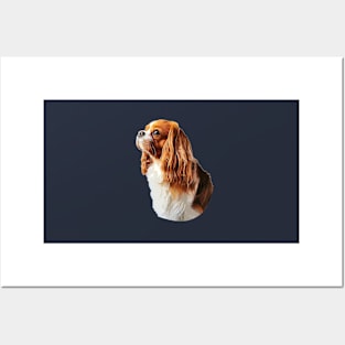 Cavalier King Charles Spaniel Posters and Art